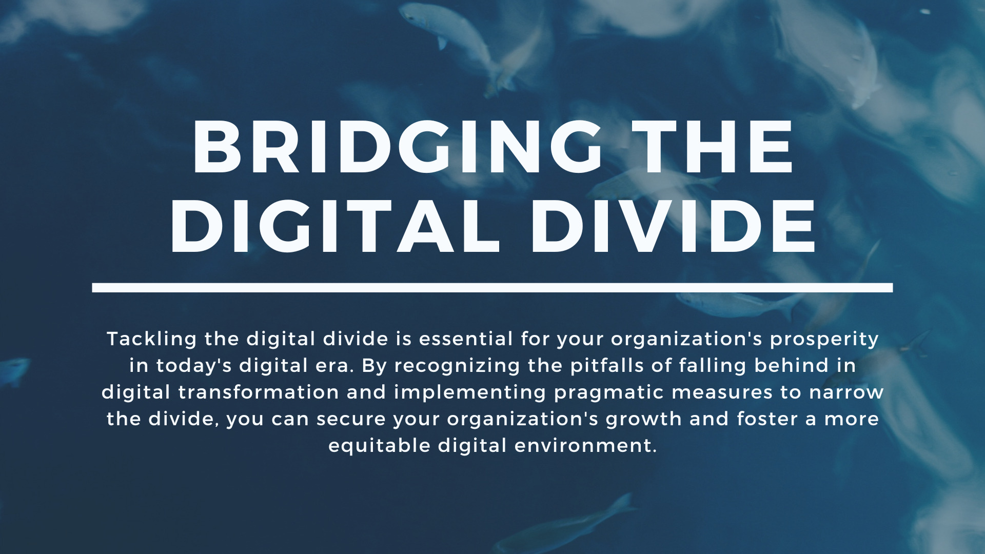 Bridging the Digital Divide in Dental Practices